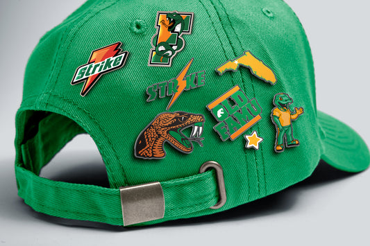 Old FAMU Pins