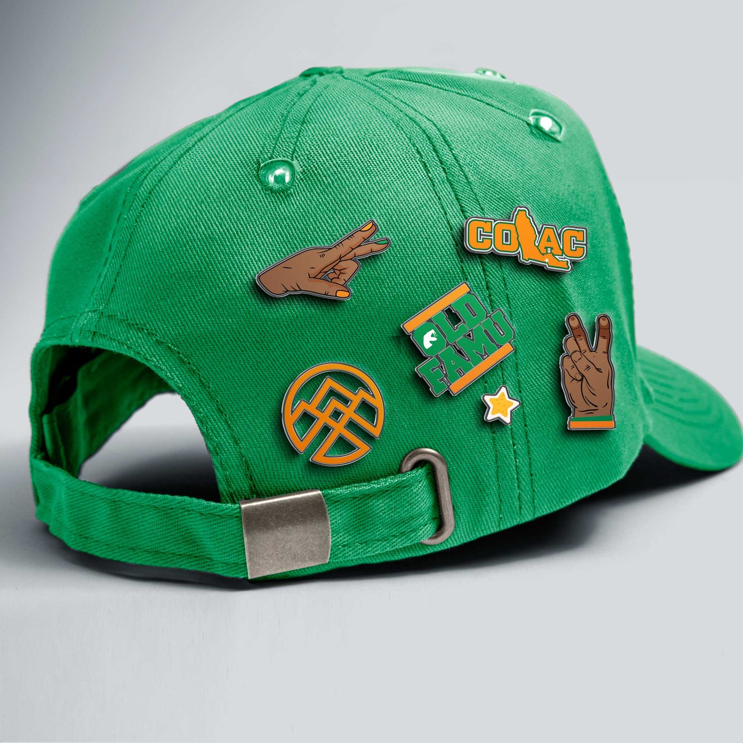 Old FAMU Pins